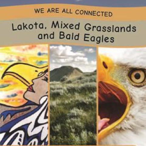 Lakota Mixed Grasslands and Bald Eagles