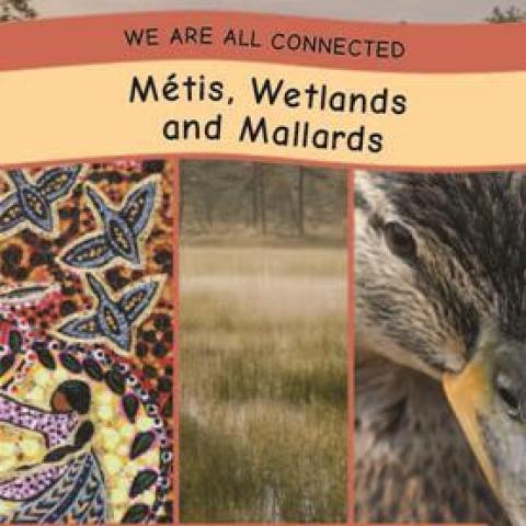 Metis Wetlands and Mallards
