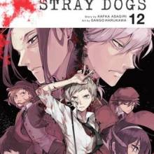 Bungo Stray Dogs Vol. 12