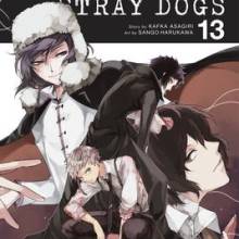 Bungo Stray Dogs Vol. 13