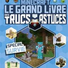 Minecraft_le grand livre des trucs et astuces_spécial survie